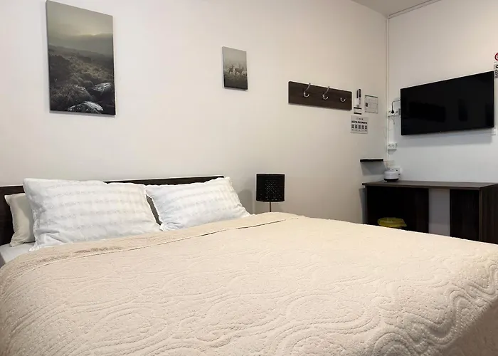 Railwayrooms22 * Laibach